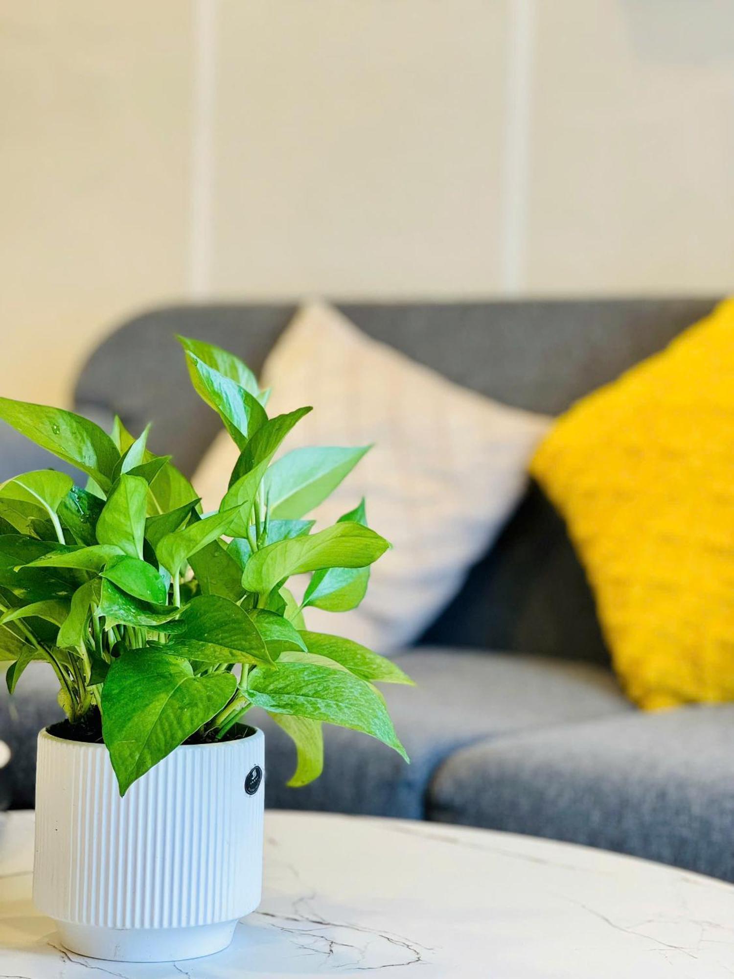 Căn hộ Soho - Luxury Stay, Next To Benthanh Market *